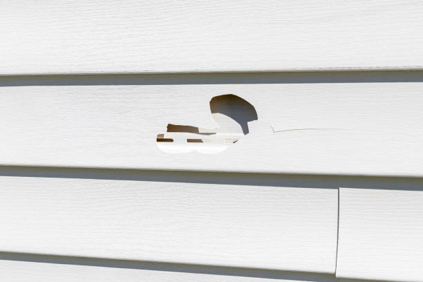 How To Choose The Right Materials for Your Siding Installation in 'Picayune, MS